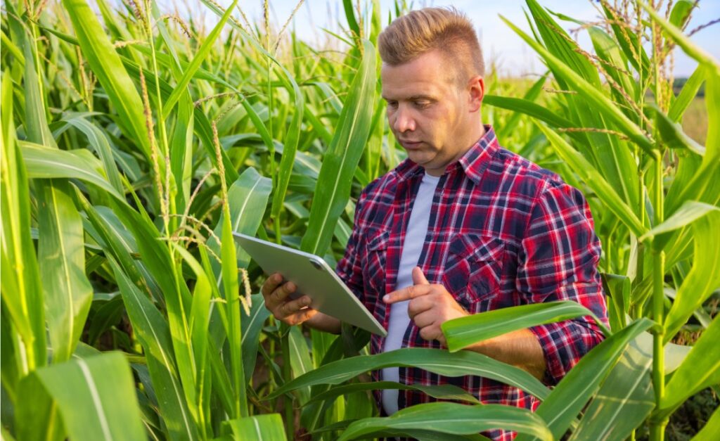 Homme se tenant debout dans un champs et regardant une tablette