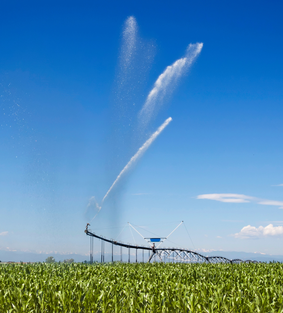 Irrigation sur maïs
