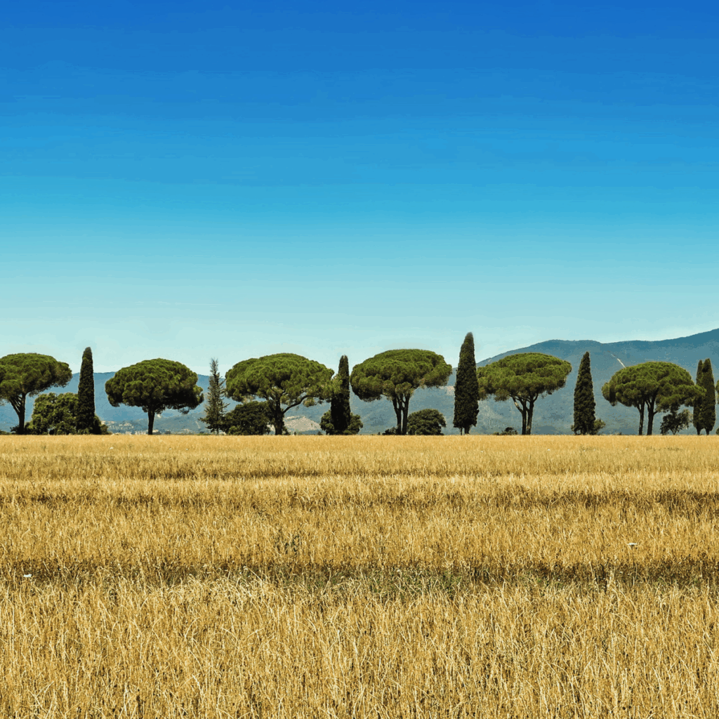 campo potenziale del terreno abelio