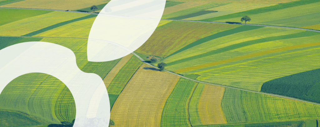 Bannière représentant des champs agricoles