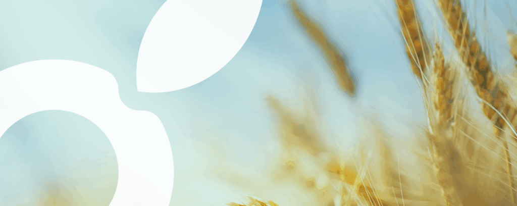 champ céréale abelio plan fumure