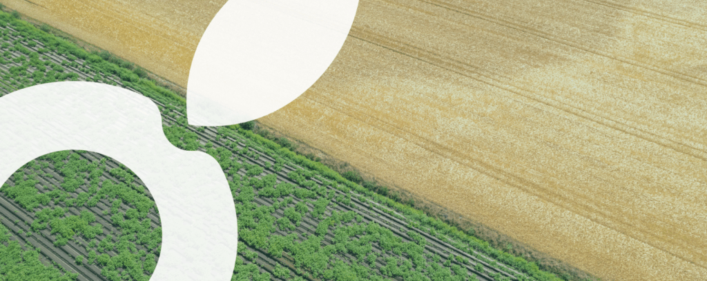 image parcelle + logo