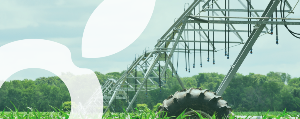 Simulation irrigation abelio